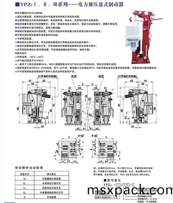 YPZ21